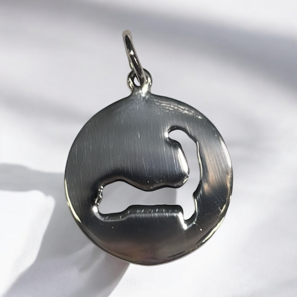 Sterling Silver Map Disc